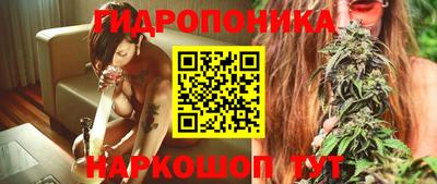 ГАЛЛЮЦИНОГЕННЫЕ ГРИБЫ Заволжье