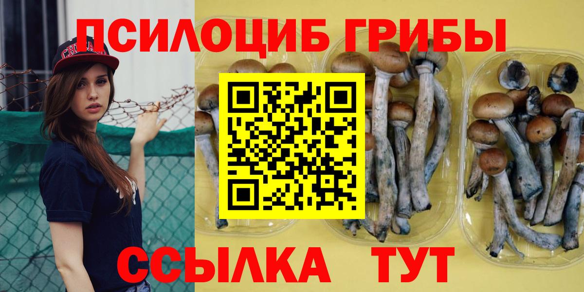 Галлюциногенные грибы мухоморы Нижнекамск
