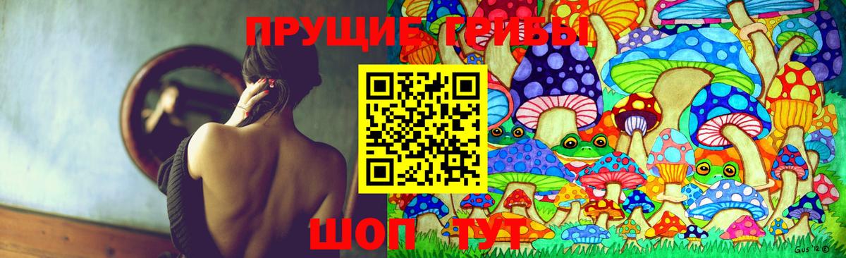 Нижнекамск  Галлюциногенные грибы MAGIC MUSHROOMS  Вход с VPN 